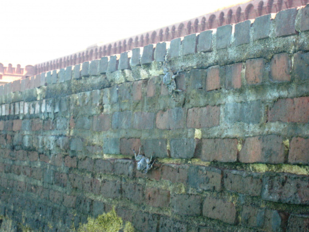 Dry Tortugas National Park