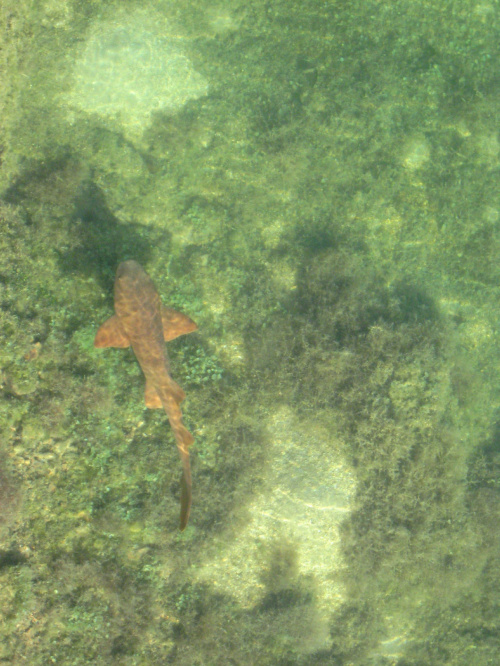 Dry Tortugas National Park