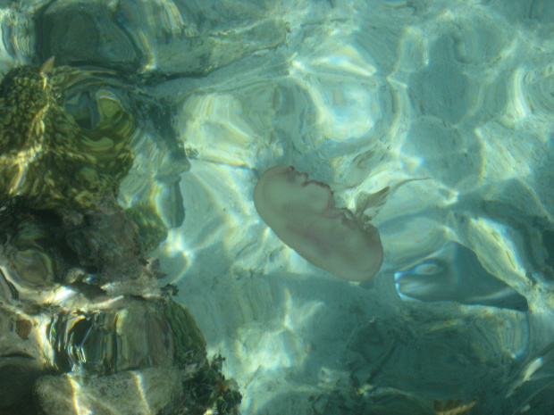 Dry Tortugas National Park