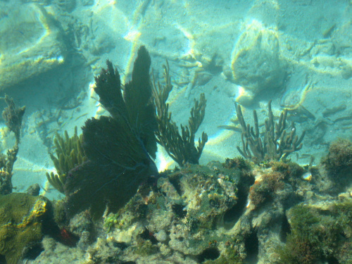 Dry Tortugas National Park