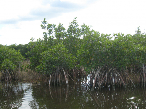 Everglades National Park