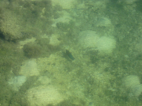 Dry Tortugas National Park