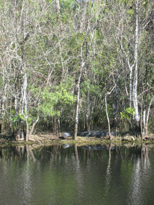 Everglades National Park