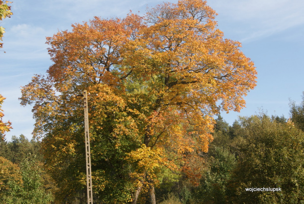 wiejskie klimaty