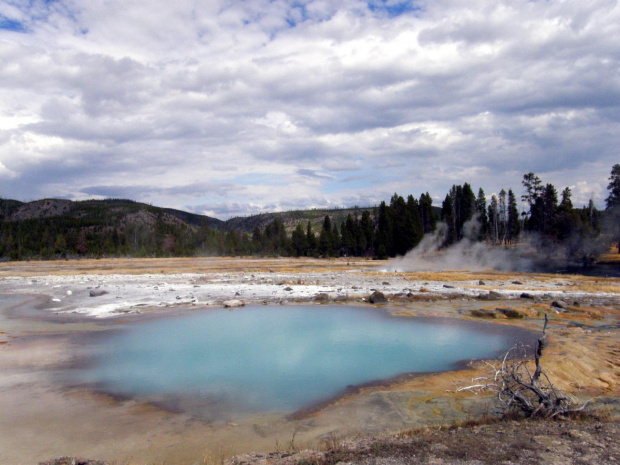 YELLOWSTONE