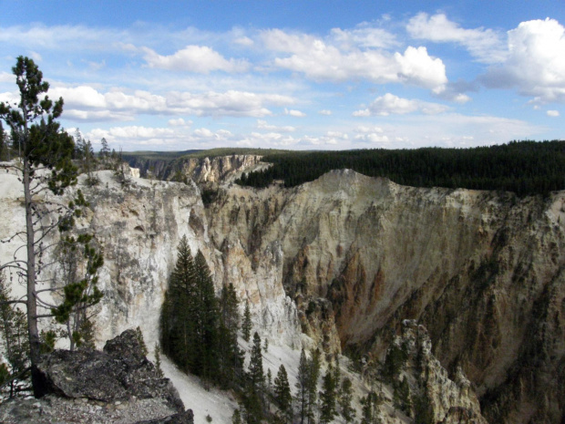 YELLOWSTONE