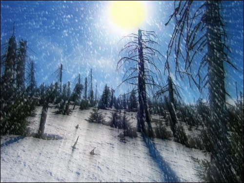 uuuu....zawirował świat jak płatki śniegu na dworze.... #zima #góry #śnieg