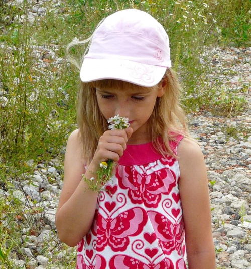 Konstancja zawsze przynosi bukiet polnych kwiatów. #dzieci
