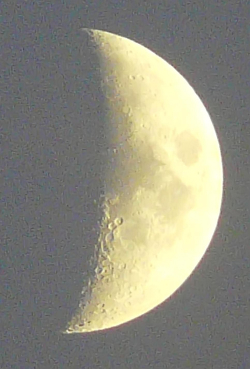 3.09. 19 godz. 55 min 24 sek. Cerekwica. Księżyc zbliża się do pierwszej kwadry. Zdjęcie robione z 2.7 zoomem cyfrowym, pomimo odszumiania, część szumu pozostała. #CiałaNiebieskie