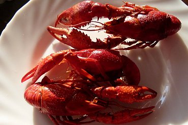 czy ktoś się skusi na takie smakołyki ... :))) #jedzenie #raki #rodzina