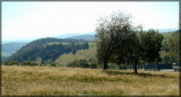 W drodze na Wielką Sowę...