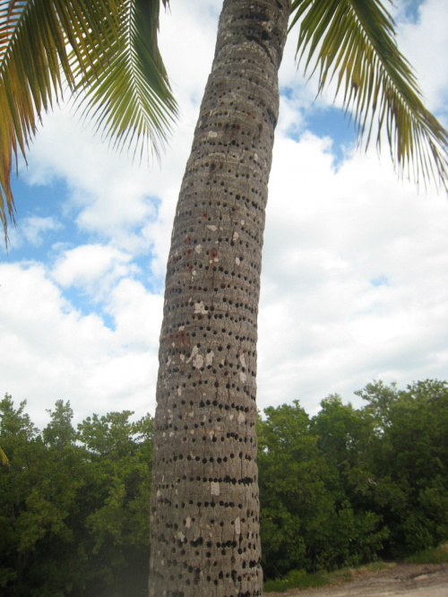 Key Largo