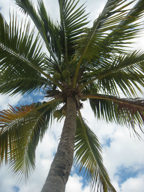 Key Largo