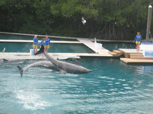 Miami Seaquarium