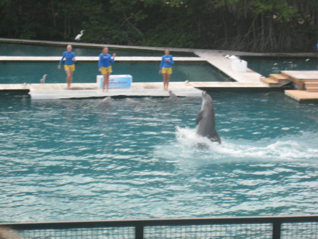 Miami Seaquarium