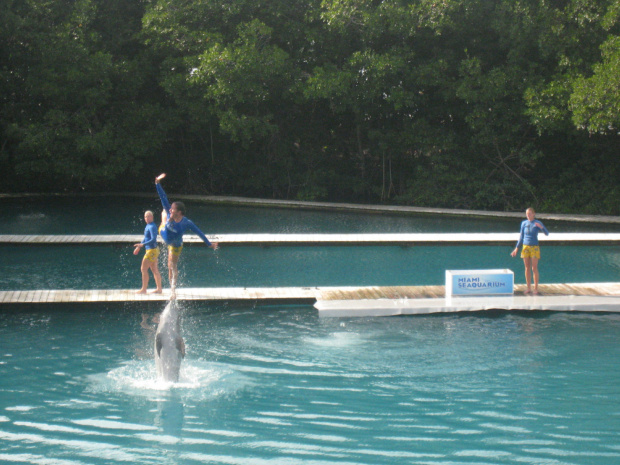 Miami Seaquarium