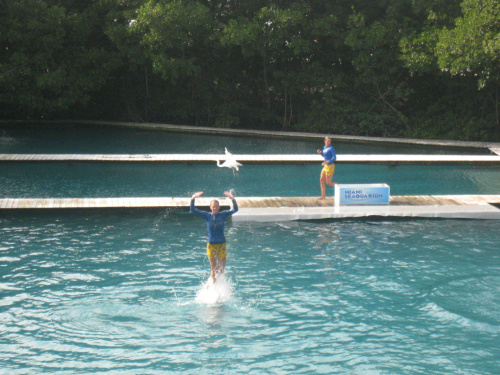 Miami Seaquarium