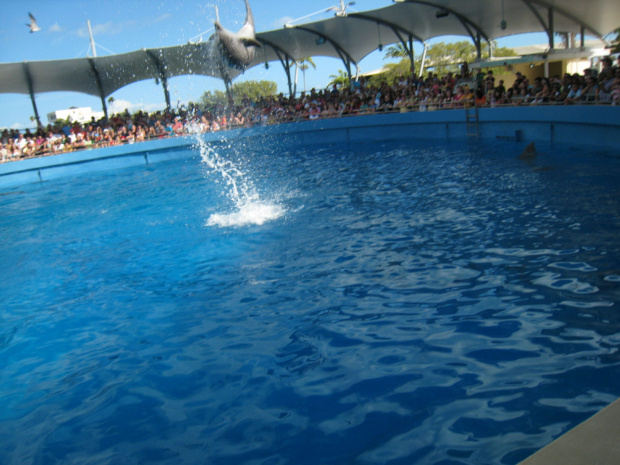 Miami Seaquarium