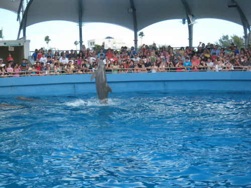 Miami Seaquarium