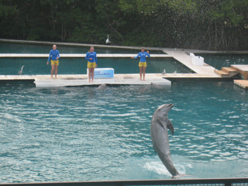 Miami Seaquarium