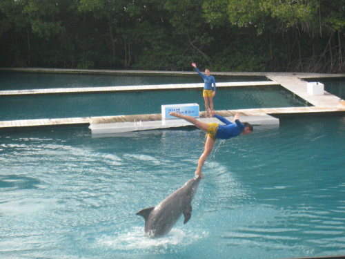 Miami Seaquarium