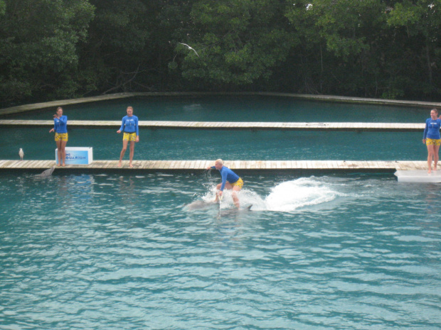 Miami Seaquarium