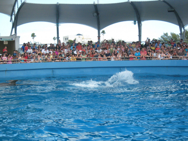 Miami Seaquarium