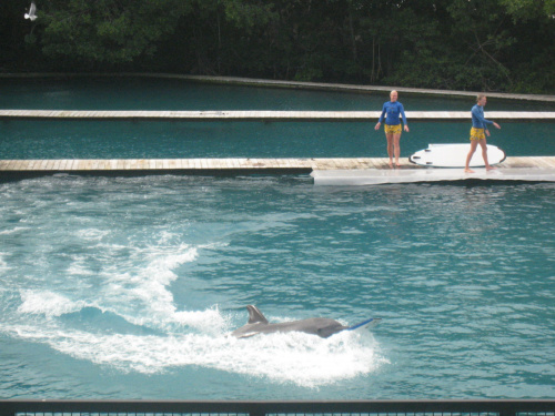 Miami Seaquarium