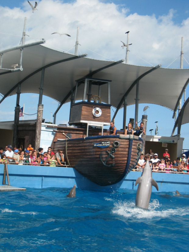 Miami Seaquarium