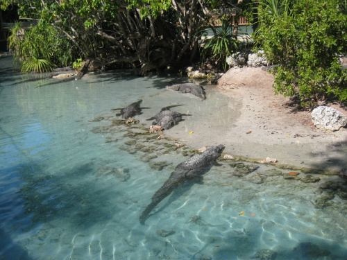 Miami Seaquarium