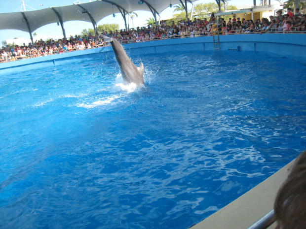 Miami Seaquarium