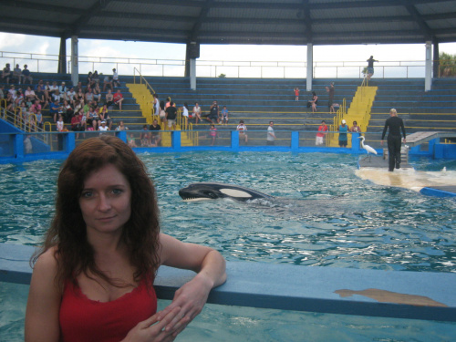 arium, orka Lolita