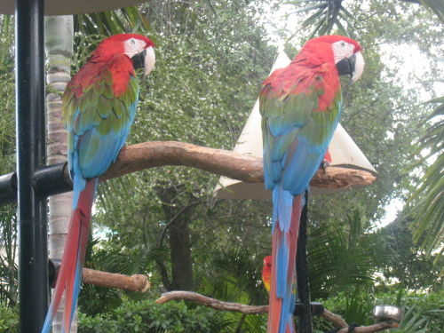 Miami Seaquarium