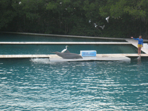 Miami Seaquarium