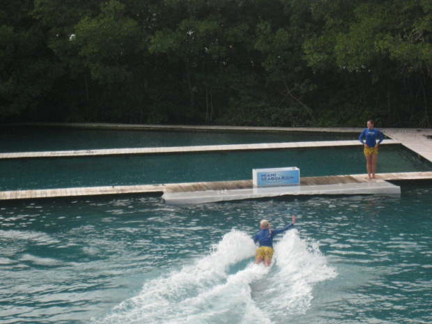 Miami Seaquarium