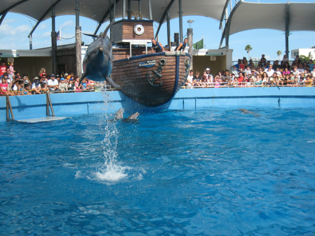 Miami Seaquarium