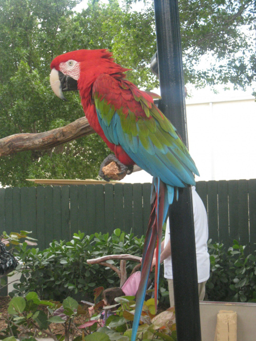 Miami Seaquarium