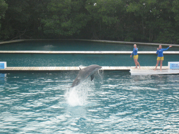 Miami Seaquarium