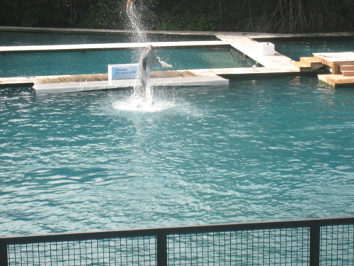 Miami Seaquarium