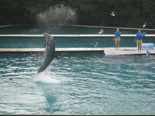 Miami Seaquarium