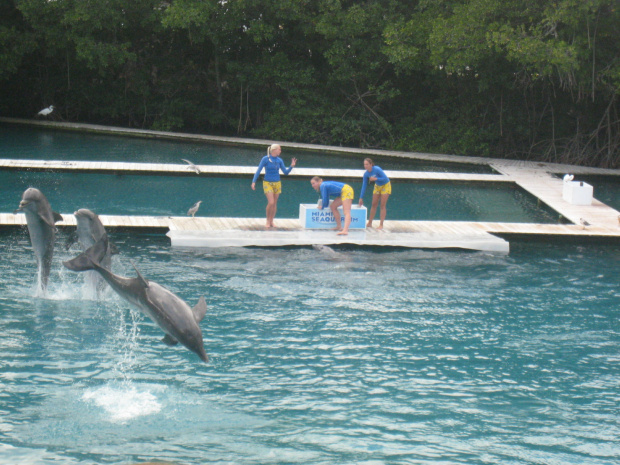 Miami Seaquarium