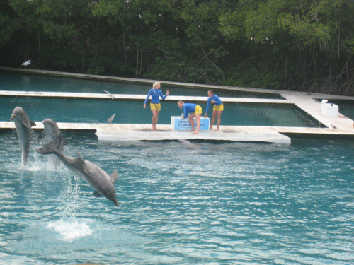 Miami Seaquarium