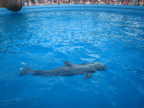 Miami Seaquarium