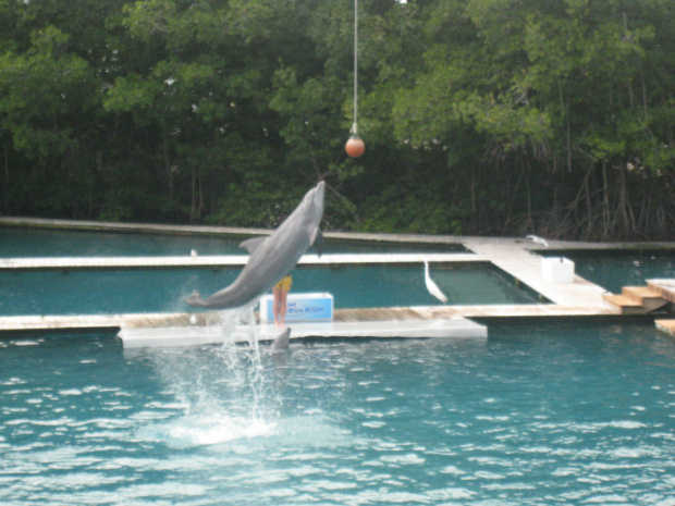 Miami Seaquarium