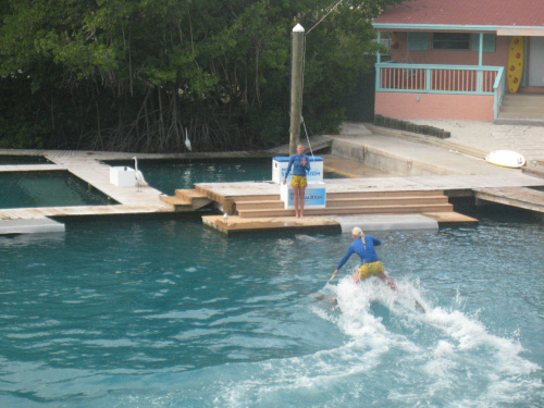 Miami Seaquarium