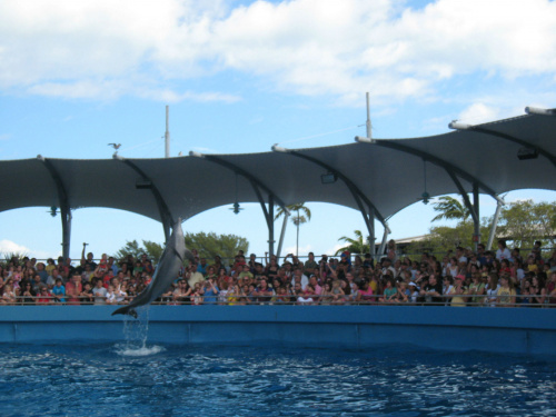 Miami Seaquarium