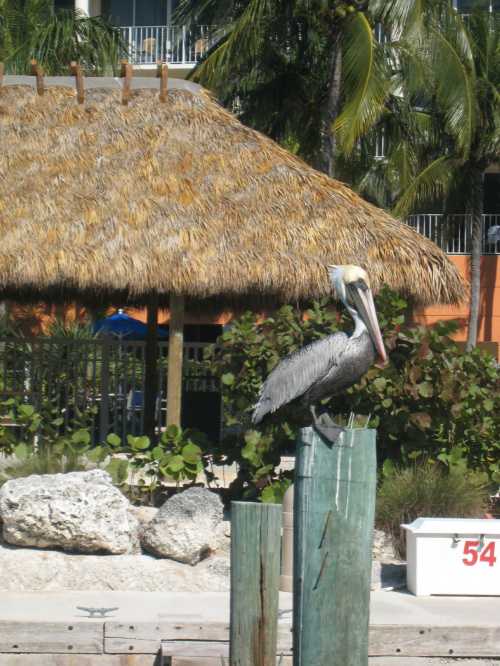 Key Largo