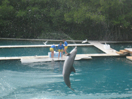 Miami Seaquarium