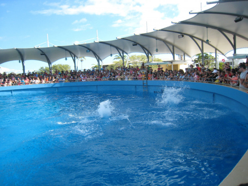 Miami Seaquarium