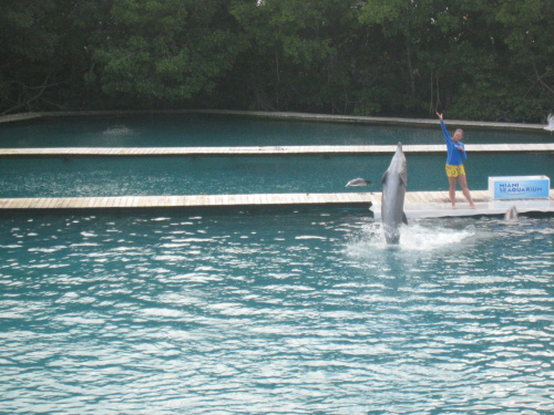 Miami Seaquarium